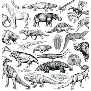 MOSCHOPS - SKRATCH FOSSILS 12"