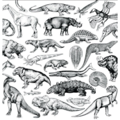 MOSCHOPS - SKRATCH FOSSILS 12"